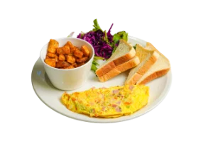 Western Omelette